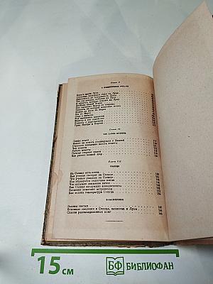 Семья Солнца