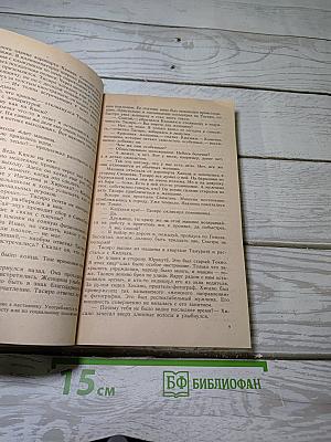 В Тени. Стена Глаз