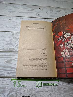 В Тени. Стена Глаз