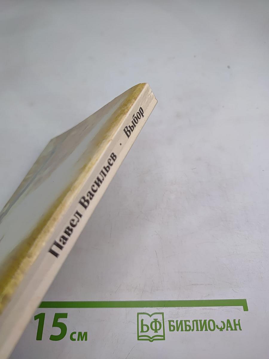 Выбор: Повести