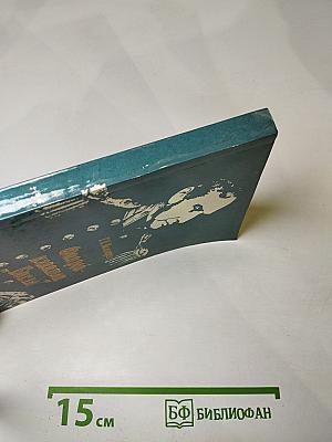 Фицрой - капитан "Бигля"