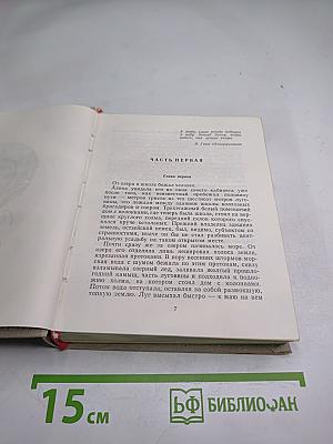 Дуэль без секундантов