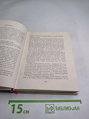 Дуэль без секундантов