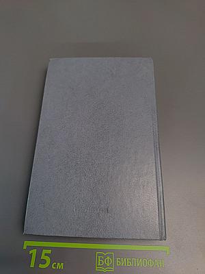 Том второй. Роман, рассказ, очерки