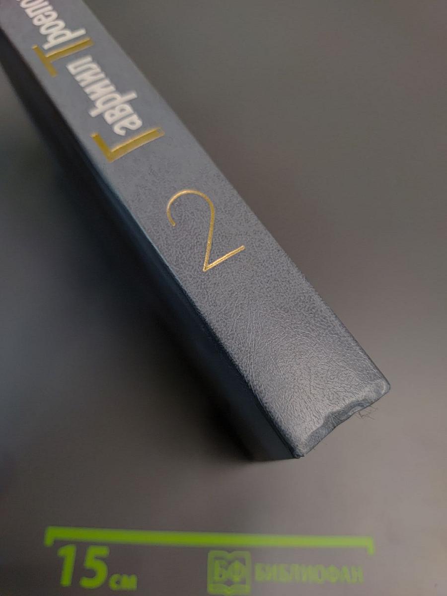 Том второй. Роман, рассказ, очерки