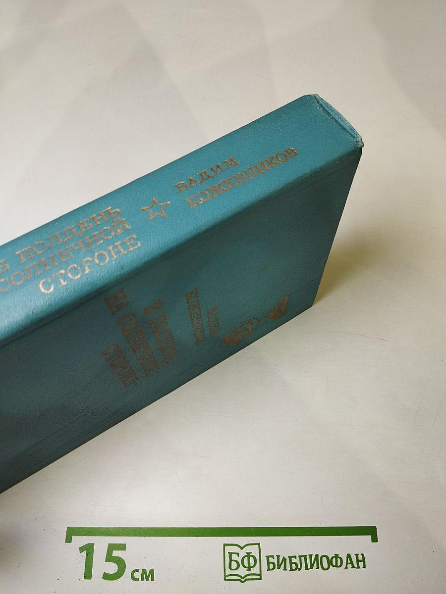 В полдень на солнечной стороне. Роман