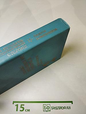 В полдень на солнечной стороне. Роман