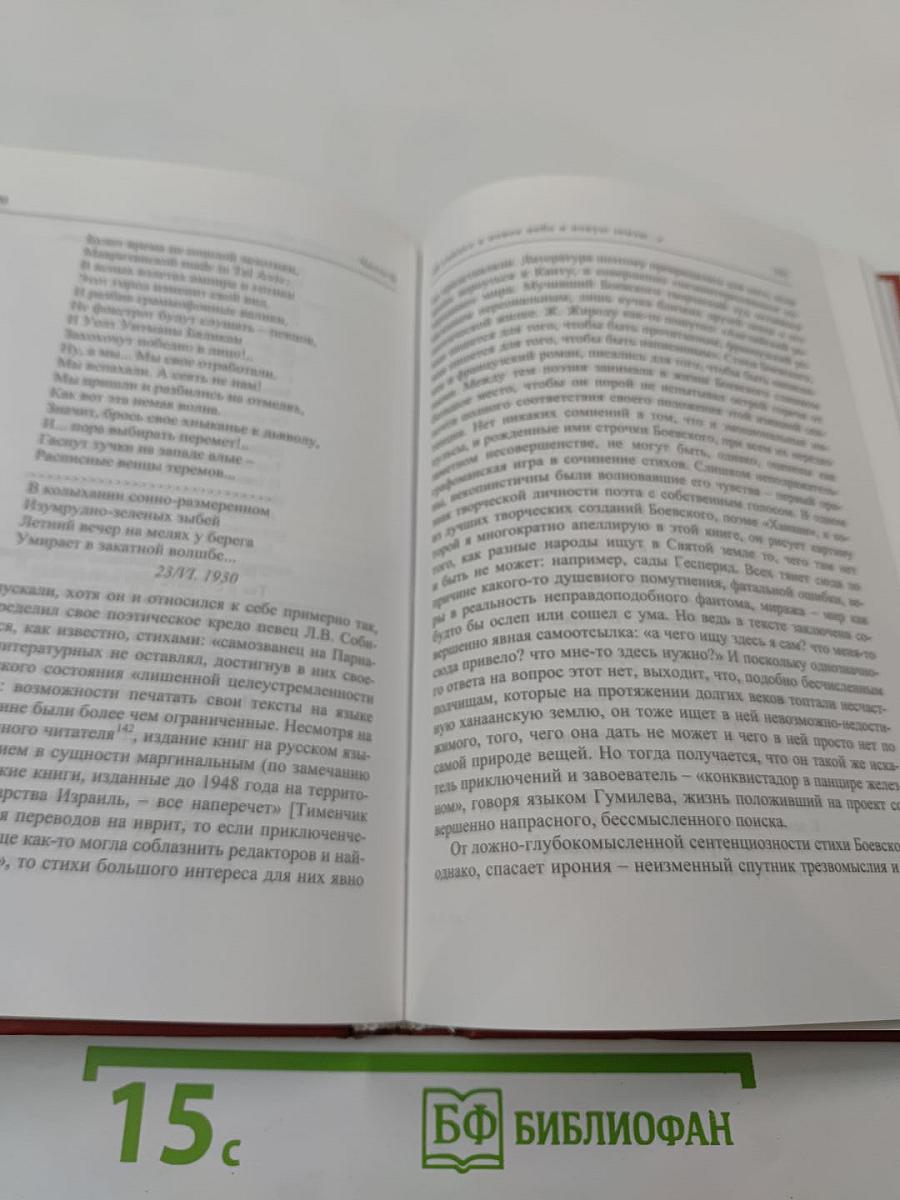 Одиссея капитана Боевского