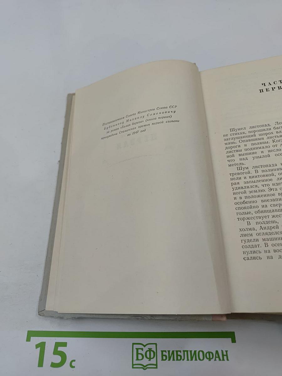 Белая береза