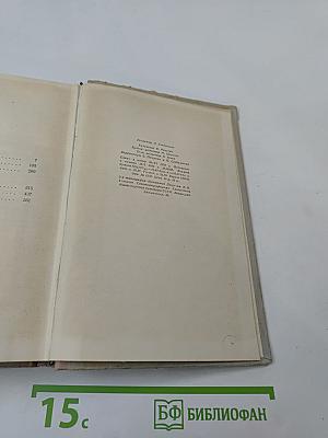 Белая береза