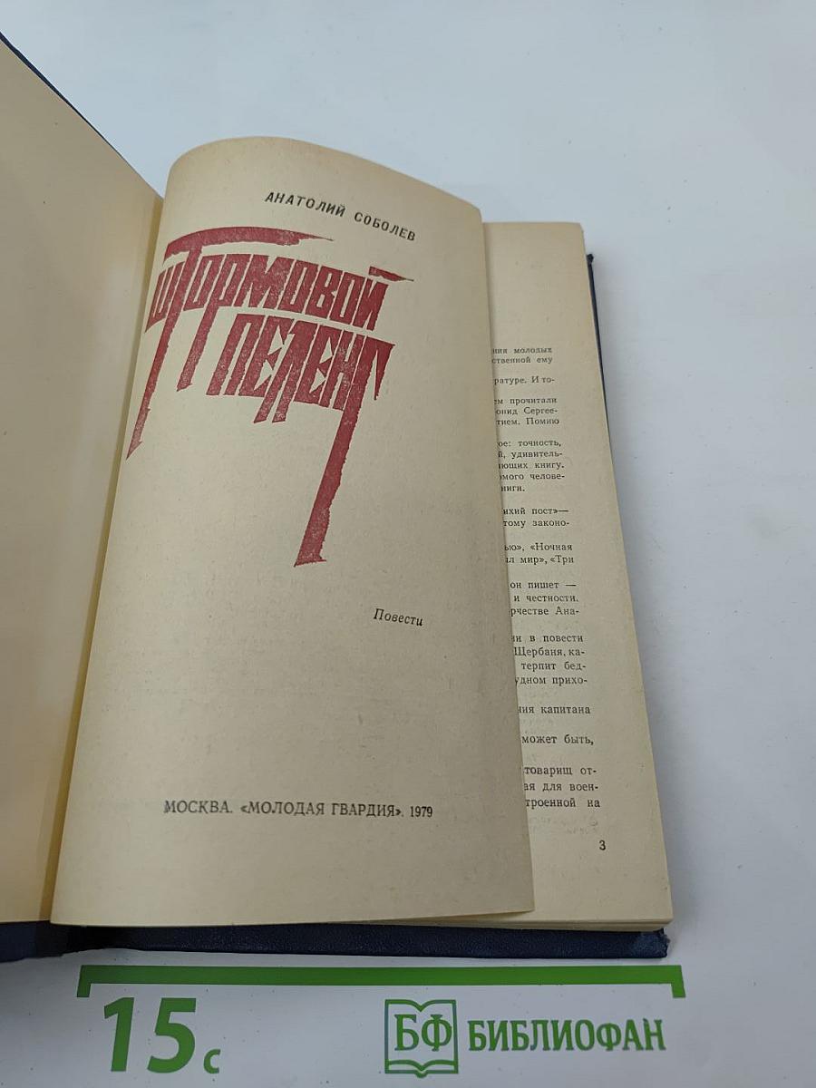 Штормовой пеленг