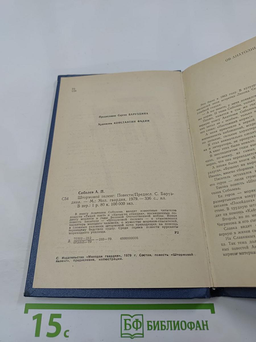 Штормовой пеленг