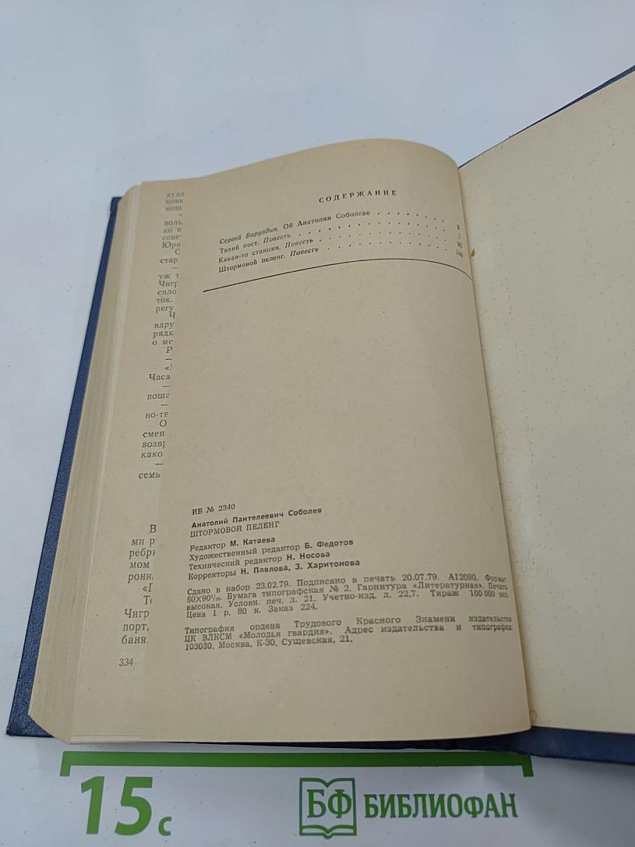 Штормовой пеленг