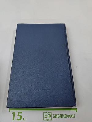 Штормовой пеленг