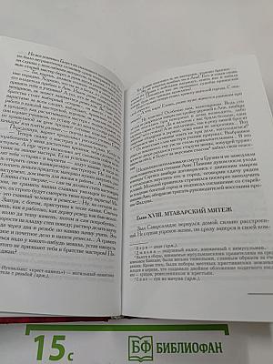 Амирспасалар. Книга 1