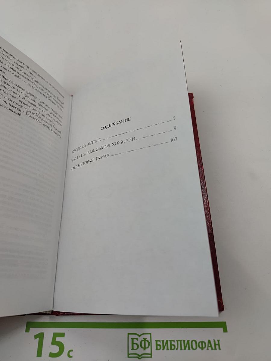Амирспасалар. Книга 1