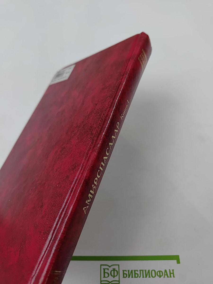 Амирспасалар. Книга 1