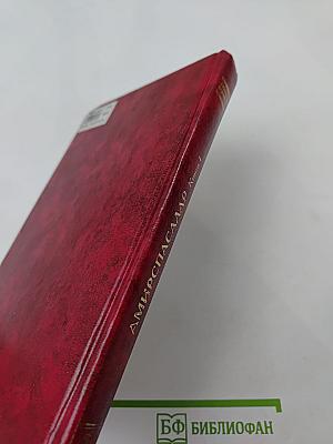 Амирспасалар. Книга 1