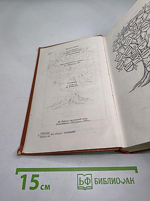 Железный король. Узница Шато-Гайара