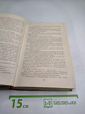 Железный король. Узница Шато-Гайара