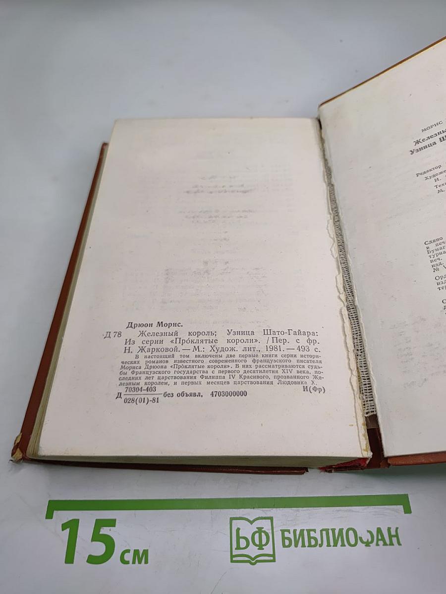 Железный король. Узница Шато-Гайара