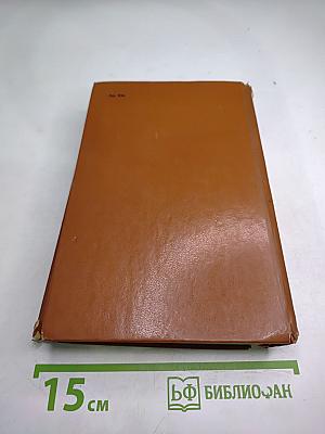 Железный король. Узница Шато-Гайара