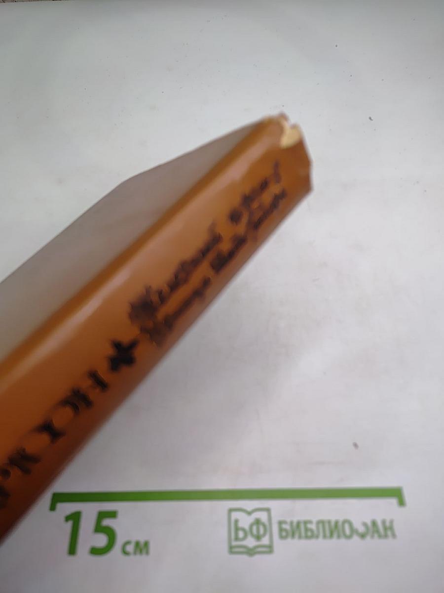 Железный король. Узница Шато-Гайара