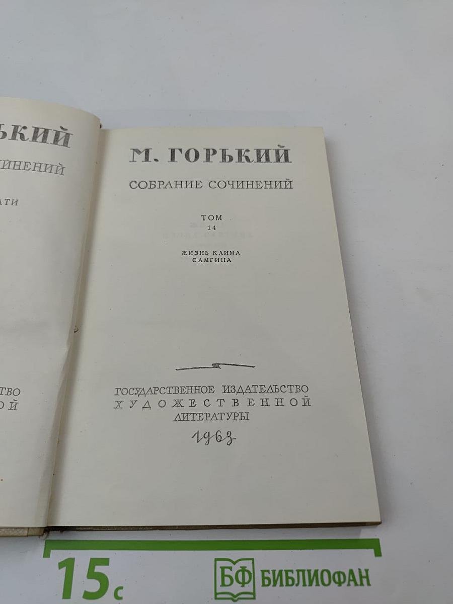 Жизнь Клима Самгина. Том 14