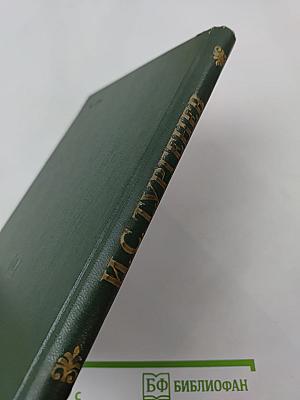 Рудин; Дворянское гнездо