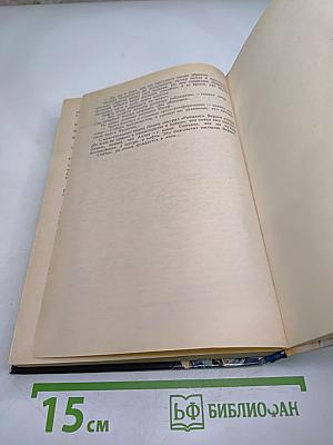 Считая себя мертвым. Специальная бригада. Розовые мессы в Амстердаме или "Небесные девы". Источник жизни - любовь