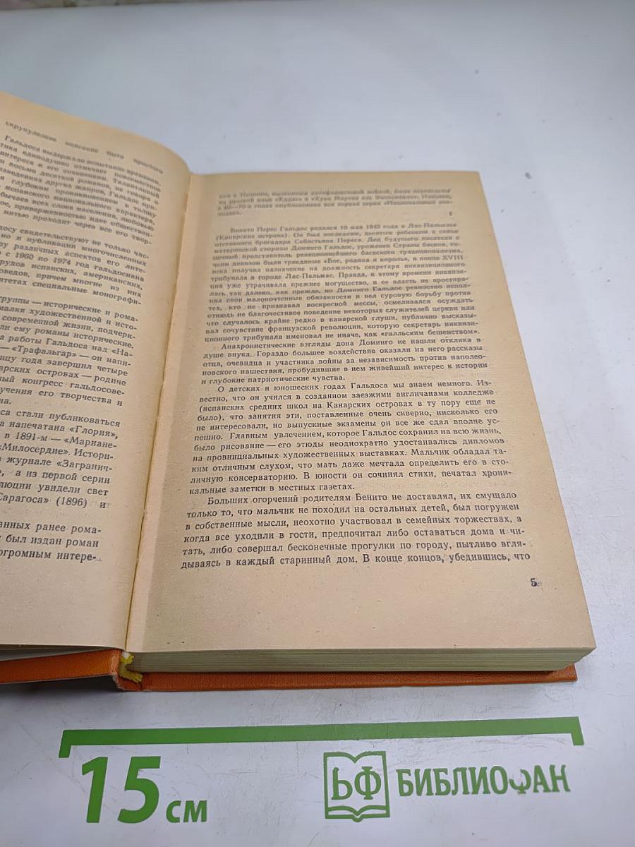 Хуан Мартин эль Эмпесинадо. Сражение при Арапилях