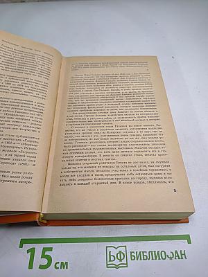 Хуан Мартин эль Эмпесинадо. Сражение при Арапилях