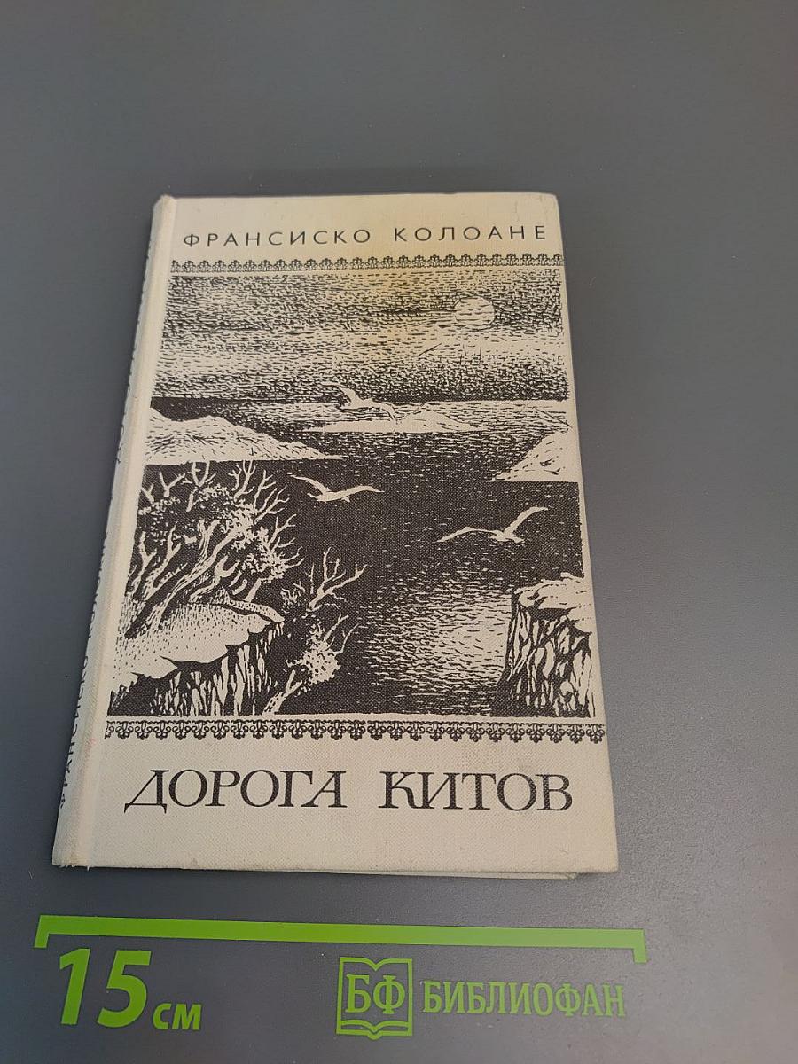 Дорога китов