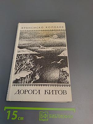 Дорога китов