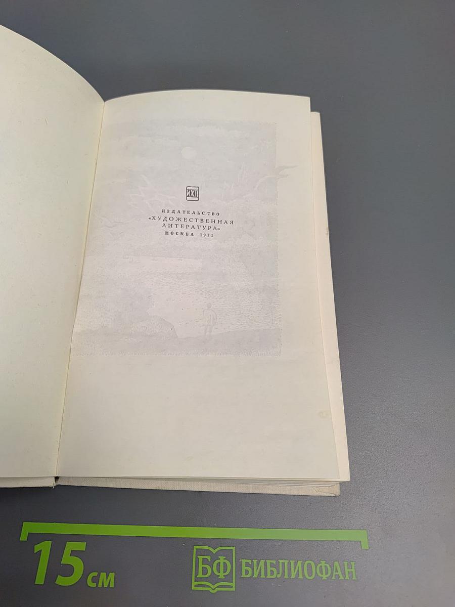 Дорога китов