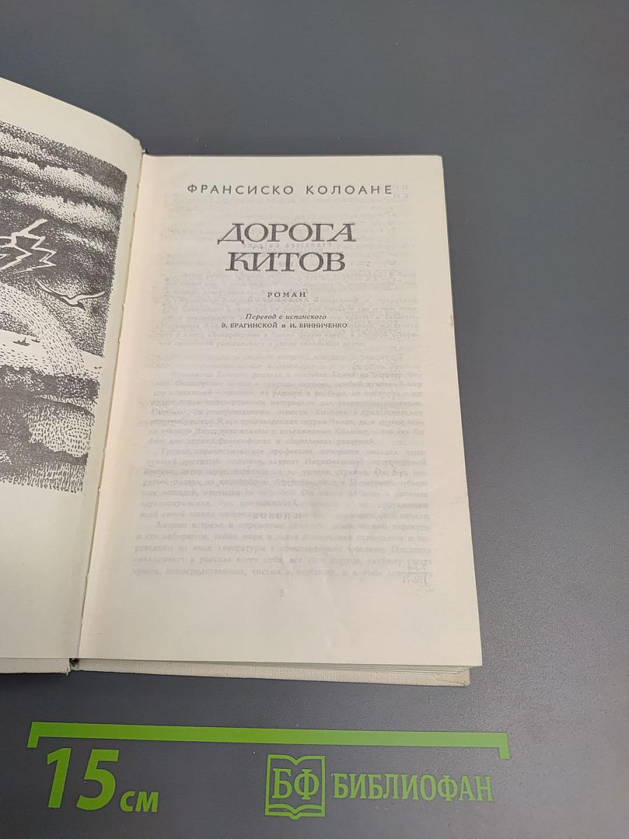 Дорога китов