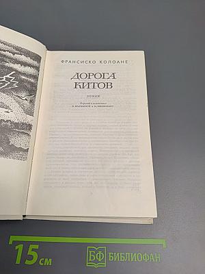 Дорога китов