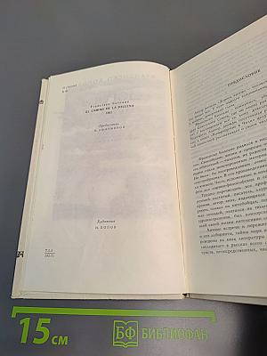 Дорога китов
