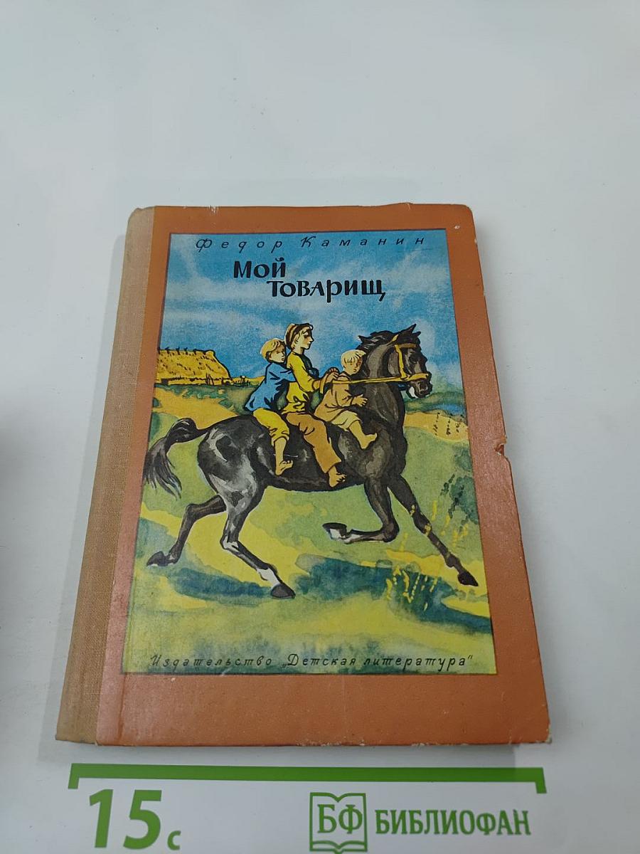 Мой товарищ