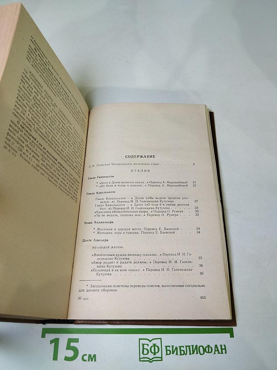 Западноевропейский СОНЕТ XIII-XVII веков