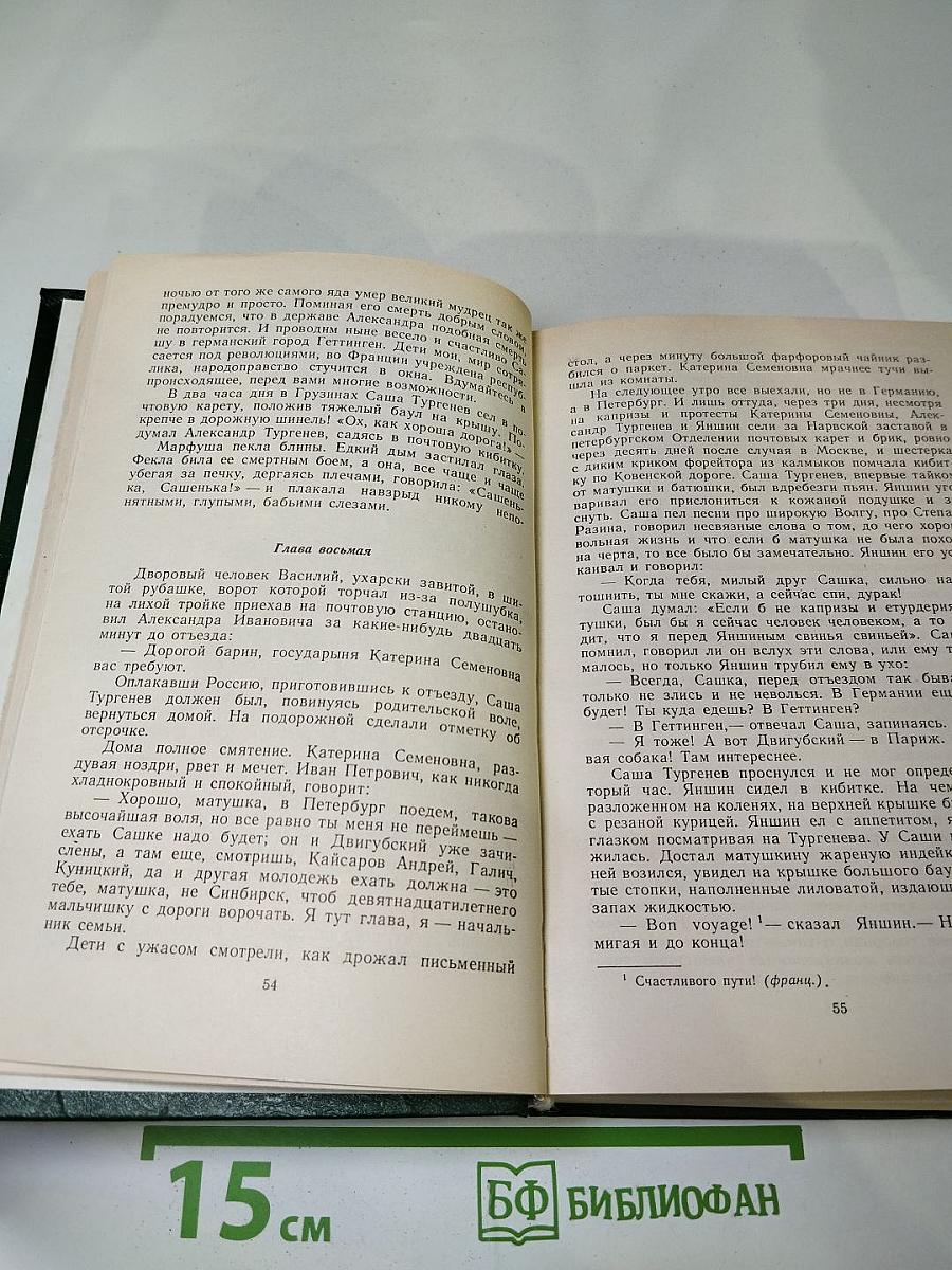 Повесть о братьях Тургеневых. Осуждение Паганини