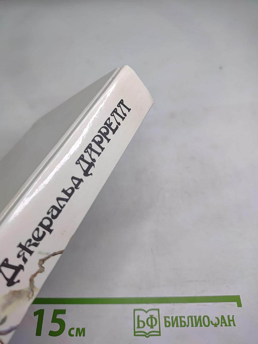 Под пологом пьяного леса