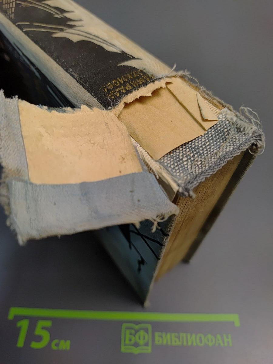 Жизнь адмирала Нахимова