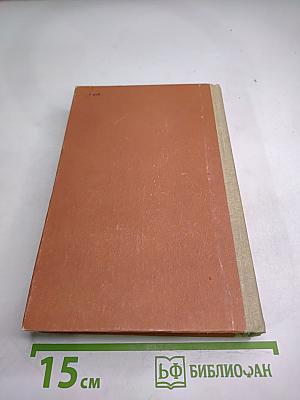 Под звездою Кутузова