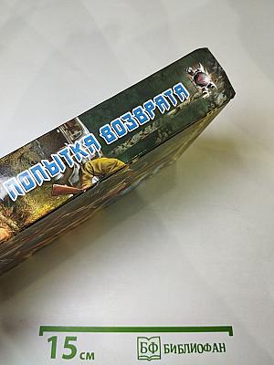 Попытка возврата