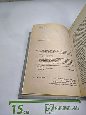 Месть Роботов