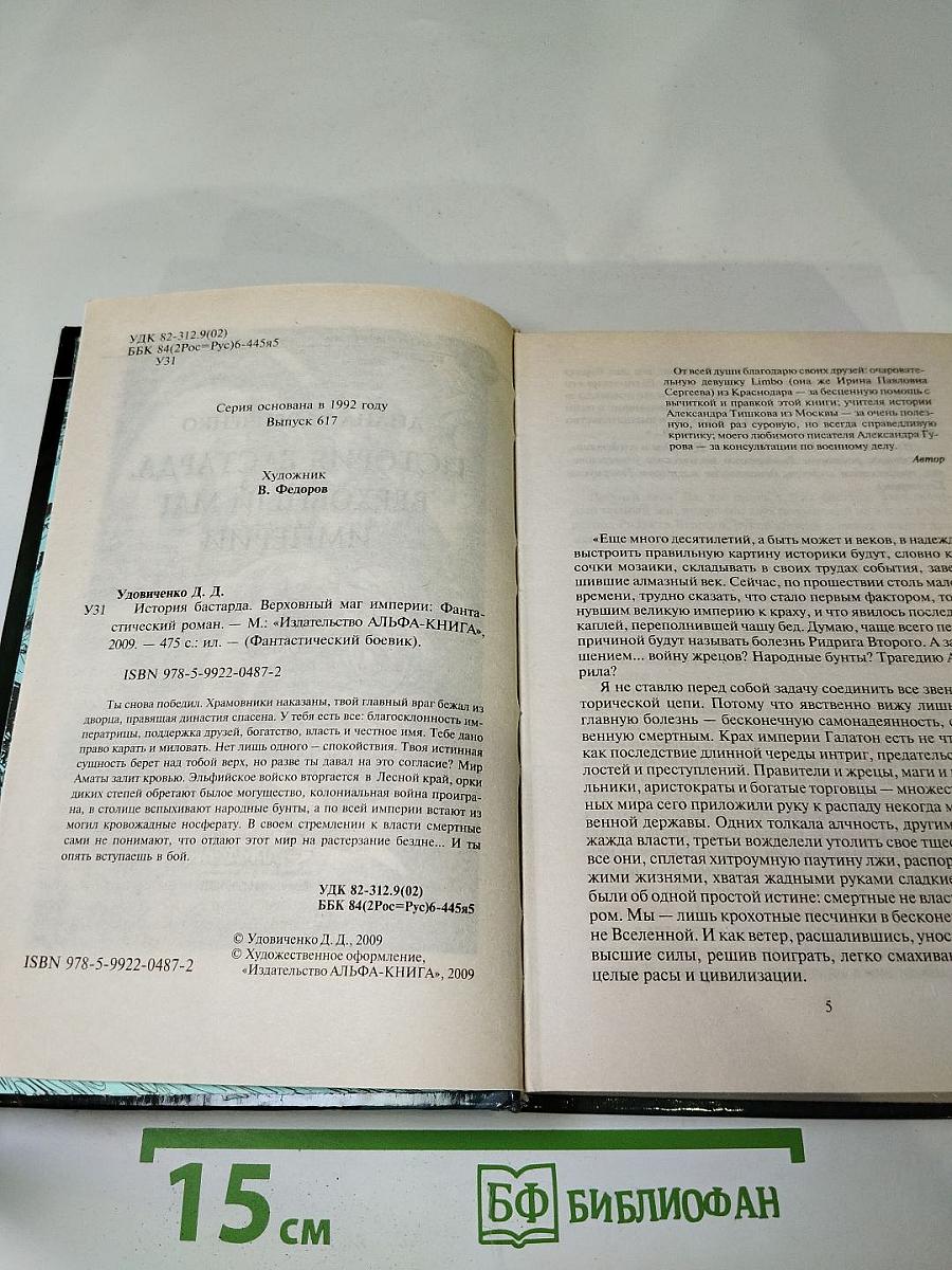 История бастарда. Верховный маг Империи