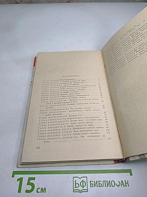 Где наша не пропадала