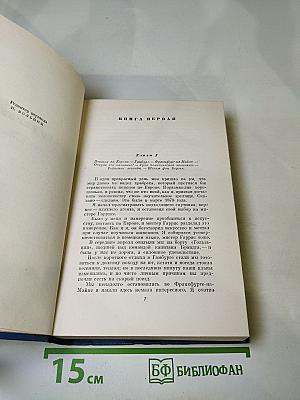Собрание сочинений. Том пятый. Пешком по Европе. Принц и нищий
