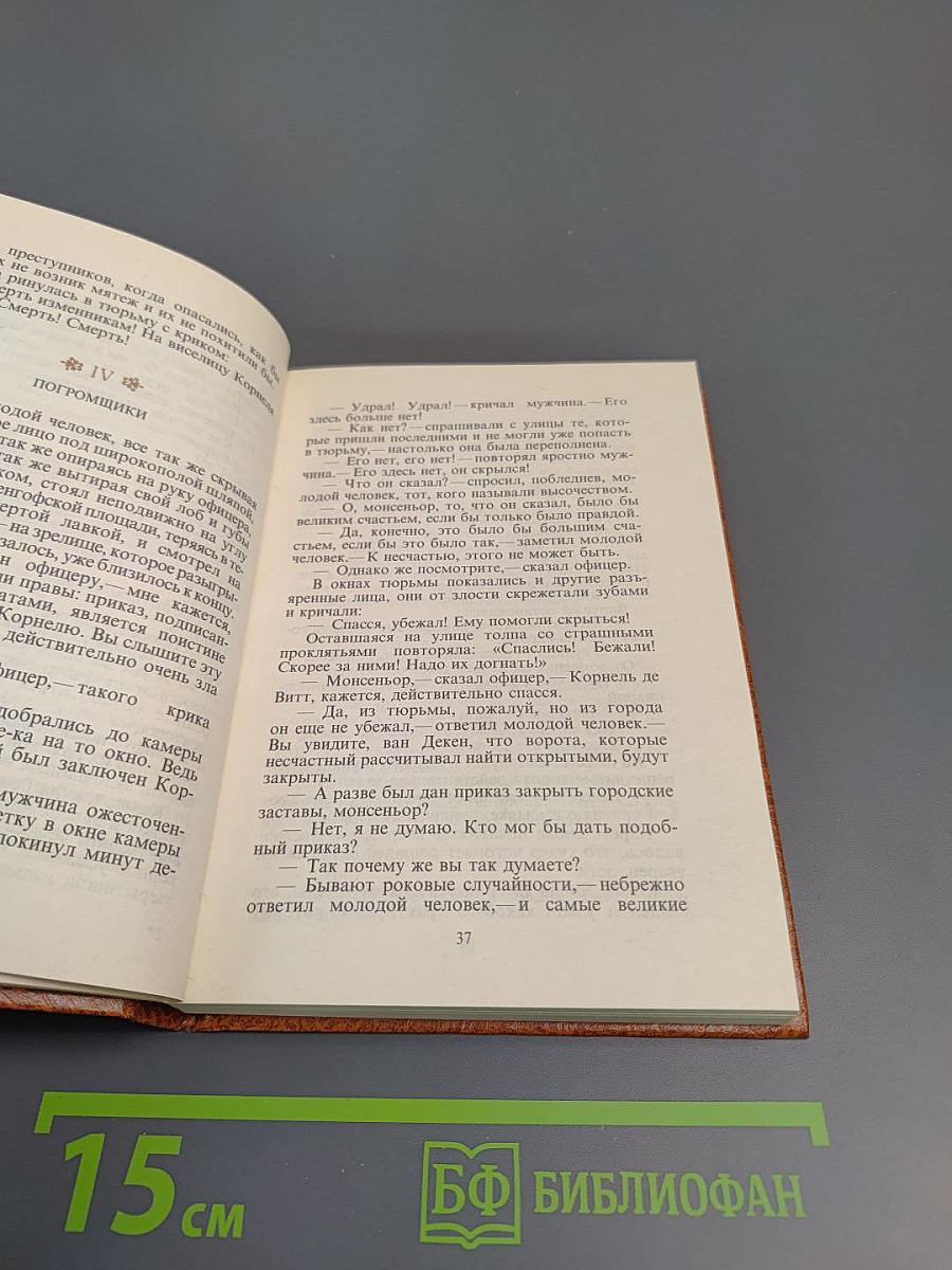 Черный тюльпан